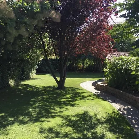 Althuizenhof 1 德纳瑞德