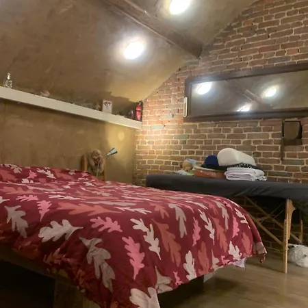 Althuizenhof 1 德纳瑞德