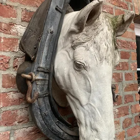 Althuizenhof 1 住宿加早餐酒店