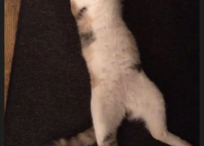 Oda ve Kahvaltı Althuizenhof 1 Doenrade