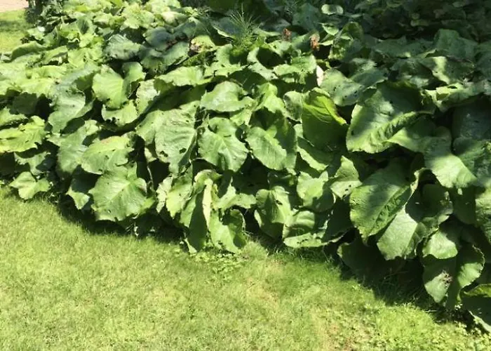 Althuizenhof 1 * Doenrade