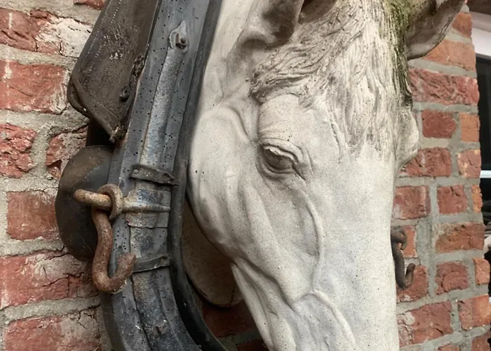 Althuizenhof 1 Oda ve Kahvaltı